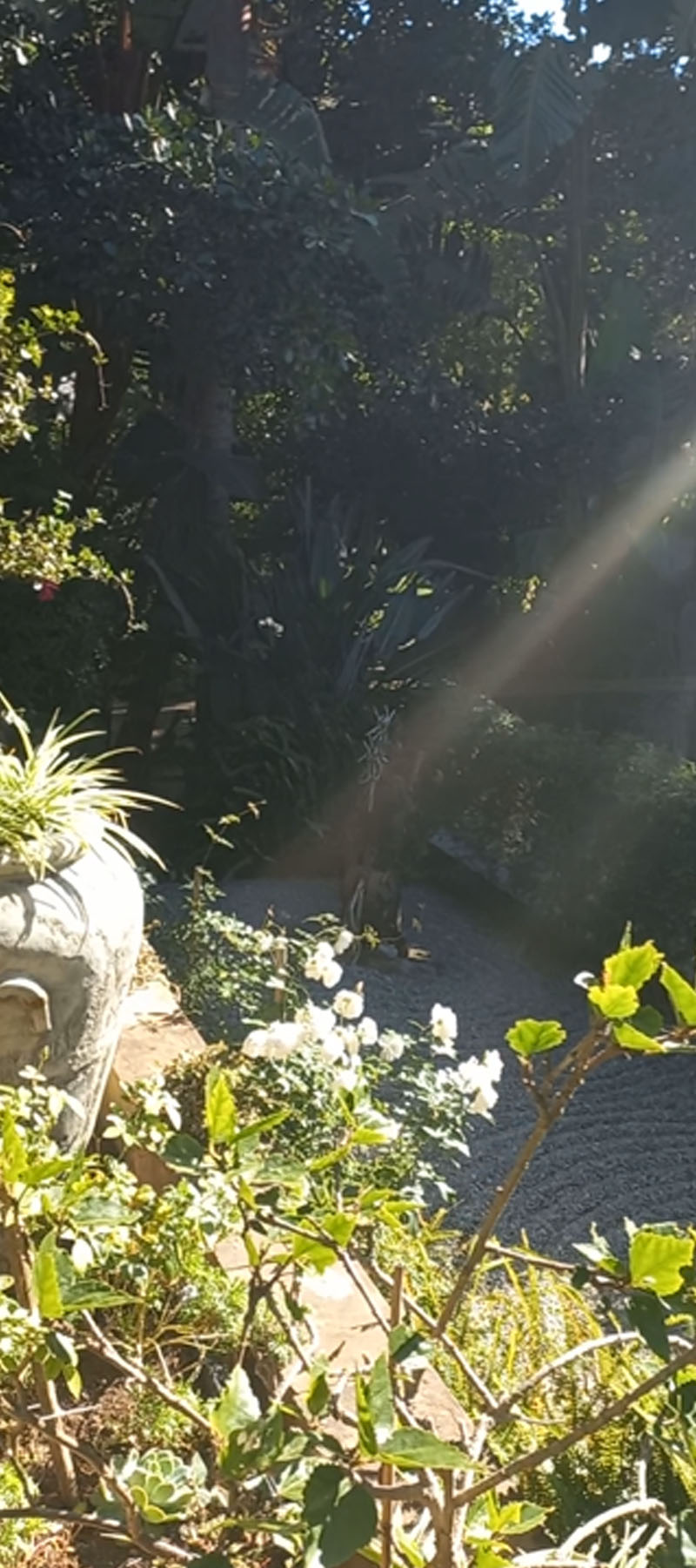 10 Bedroom Property for Sale in Hoekwil Western Cape